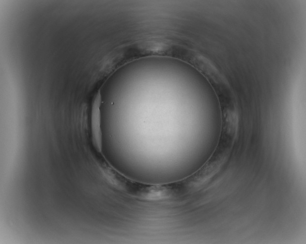 X0000112210612200908071455