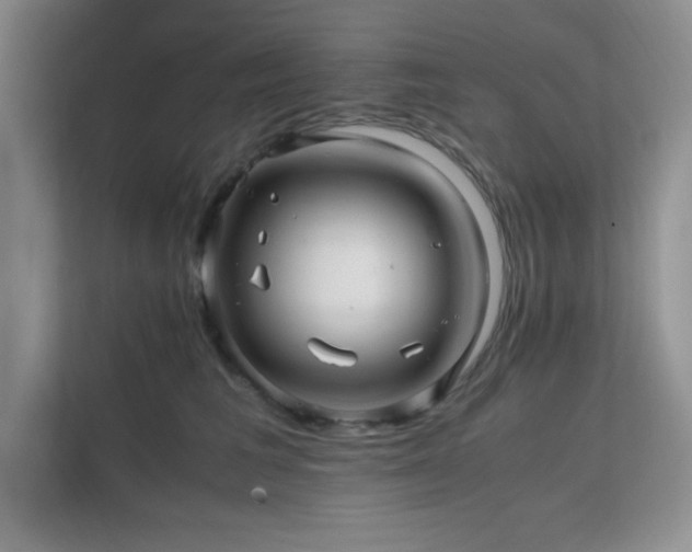 X0000112210613200908071455