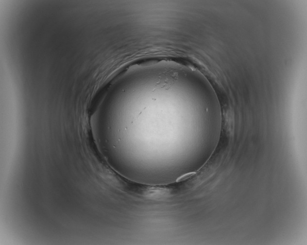 X0000112210617200908071455