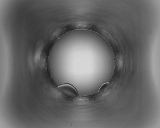 X0000112210619200908071455