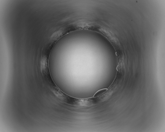 X0000112210623200908071455