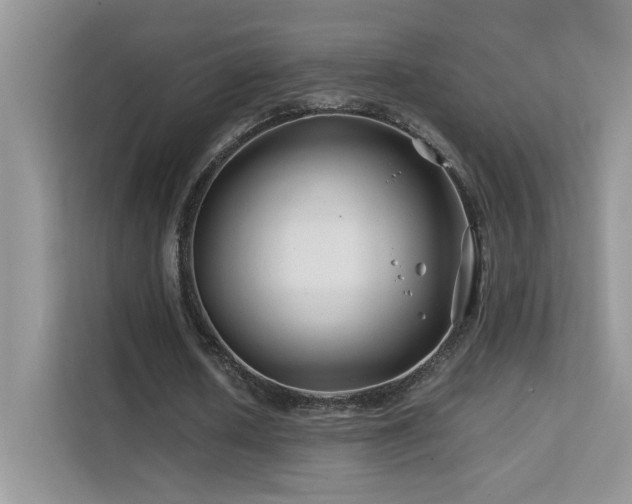 X0000112210626200908071454