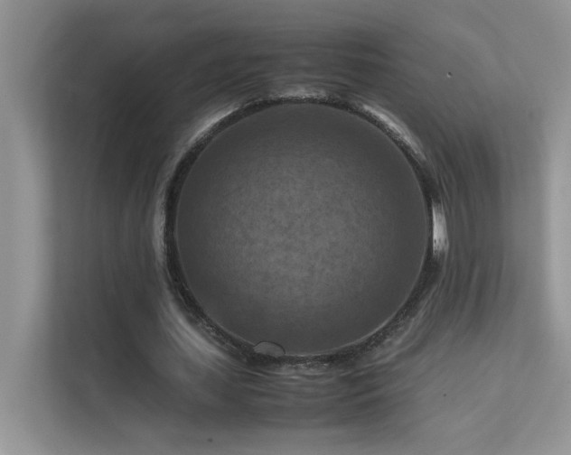 X0000112210627200908071454