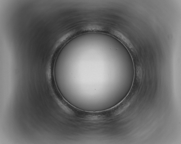X0000112210629200908071455