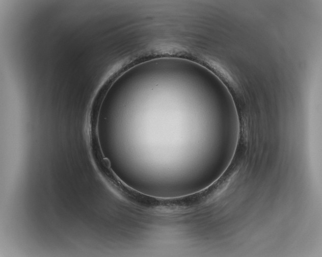 X0000112210630200908071455