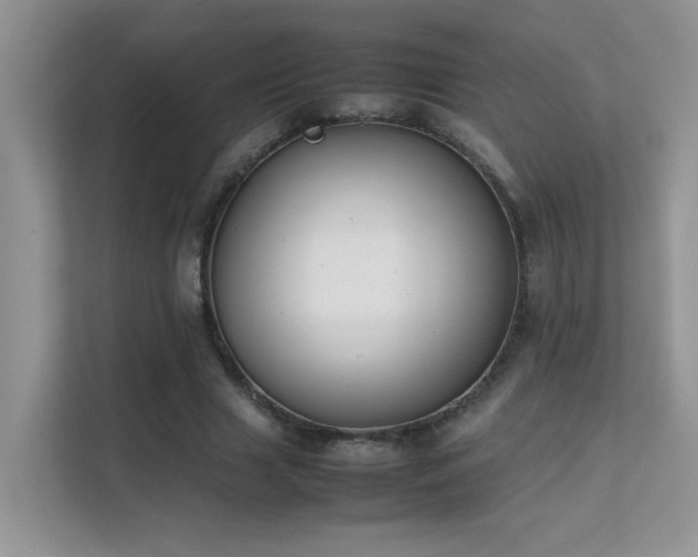 X0000112210633200908071455