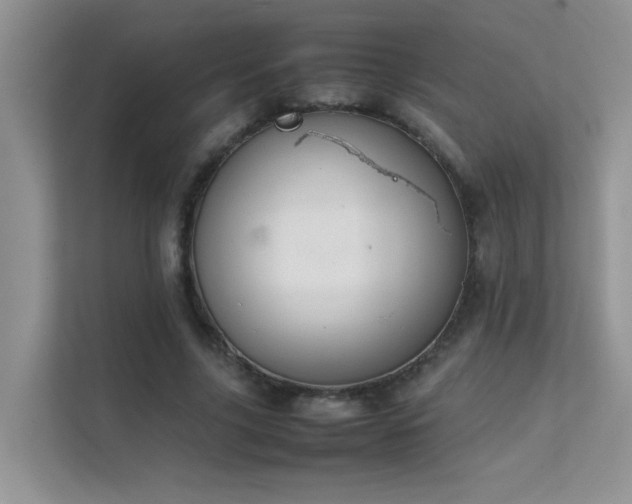X0000112210635200908071455