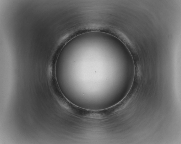 X0000112210636200908071455