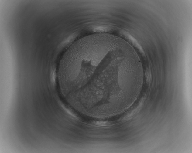 X0000112210637200908071455