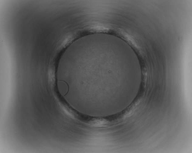 X0000112210642200908071455