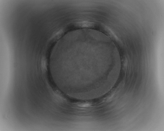 X0000112210643200908071455