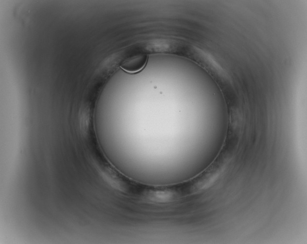 X0000112210645200908071455