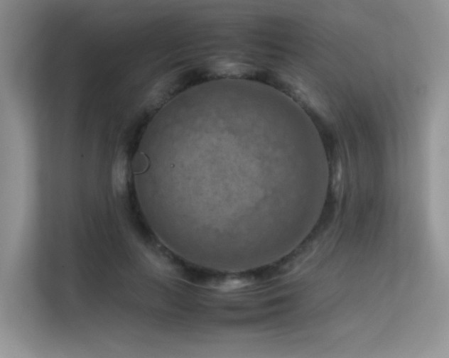 X0000112210647200908071455