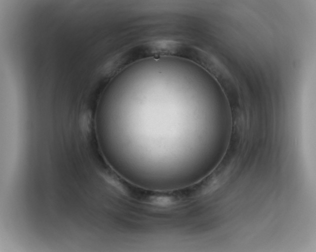 X0000112210649200908071455