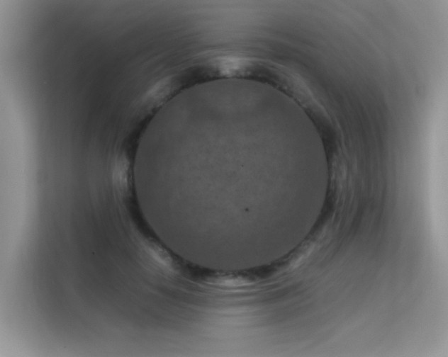 X0000112210650200908071455