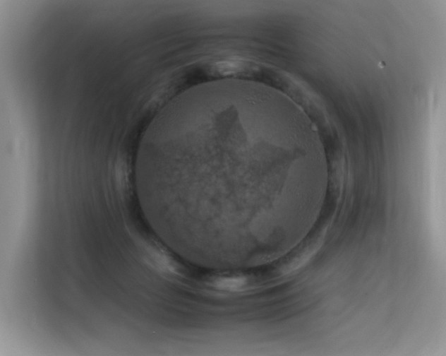 X0000112210653200908071455