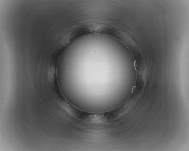 X0000112210660200908071455
