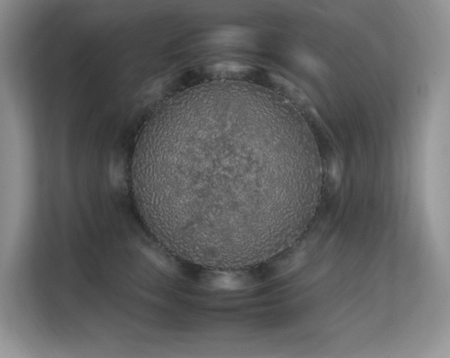 X0000112210663200908071455