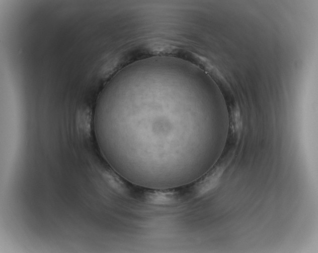 X0000112210664200908071455