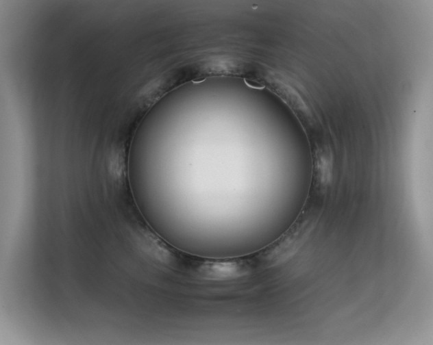 X0000112210665200908071455