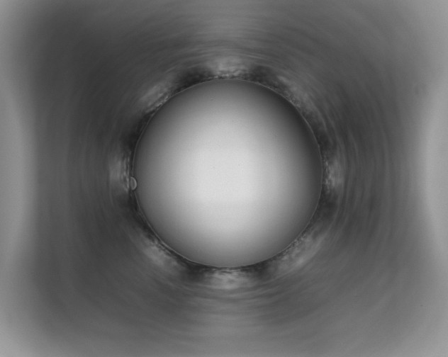 X0000112210666200908071455
