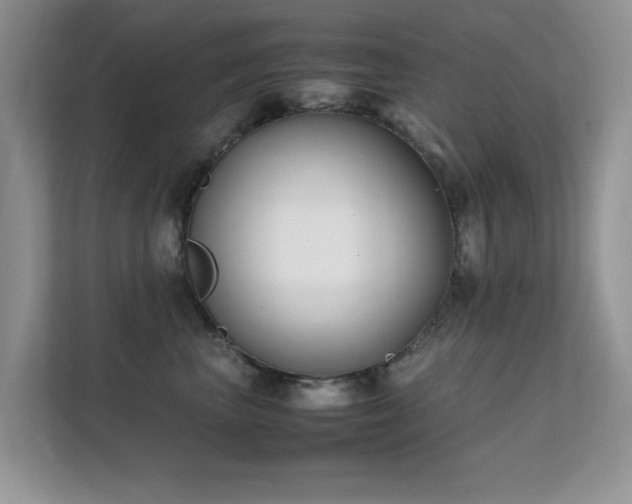 X0000112210667200908071455