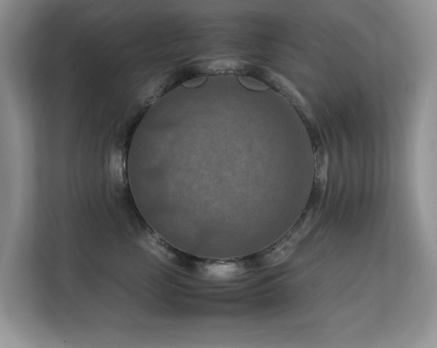 X0000112210669200908071455