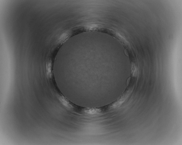 X0000112210670200908071455