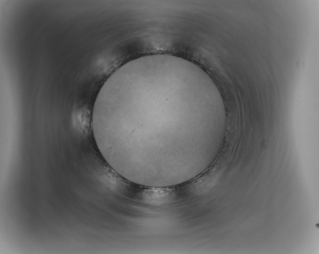 X0000112210672200908071455