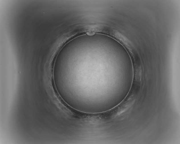 X0000112210673200908071454