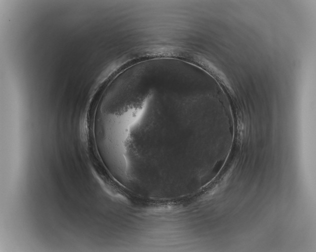 X0000112210674200908071454