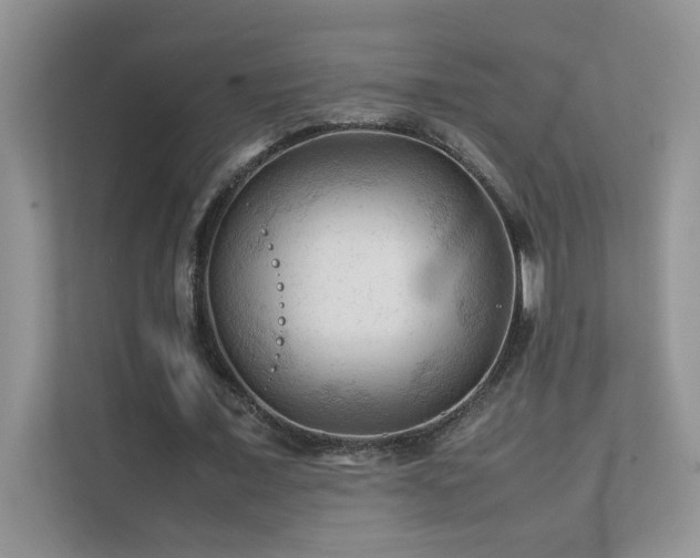 X0000112210675200908071454