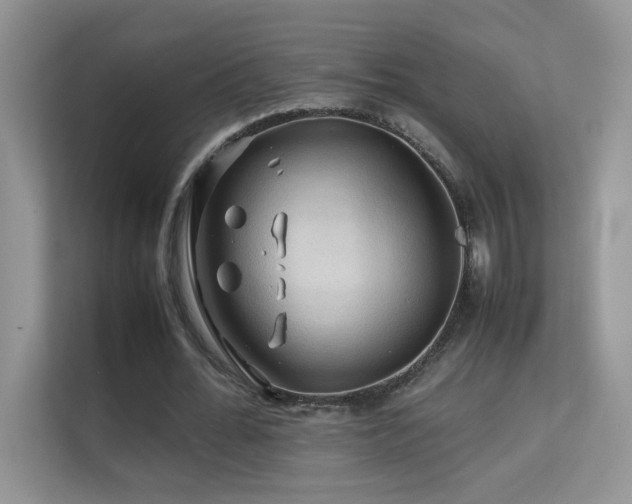 X0000112210676200908071454