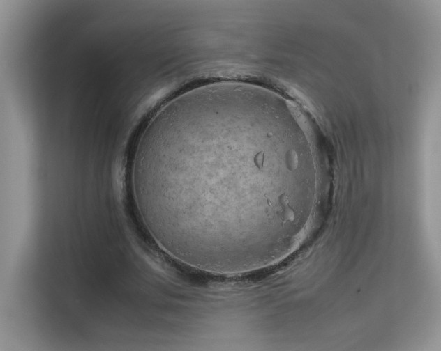X0000112210679200908071454
