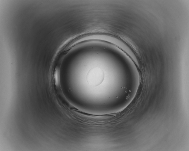X0000112210680200908071454