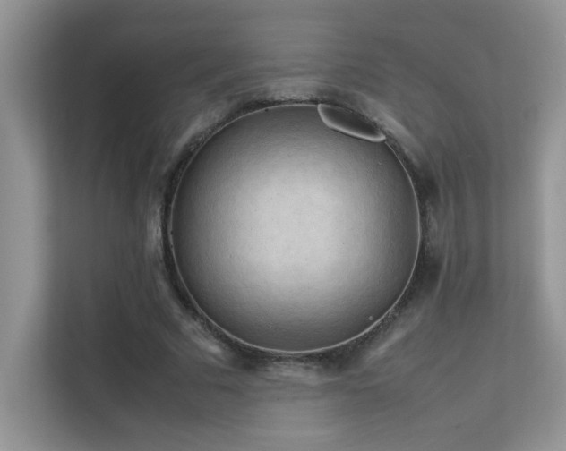 X0000112210681200908071454