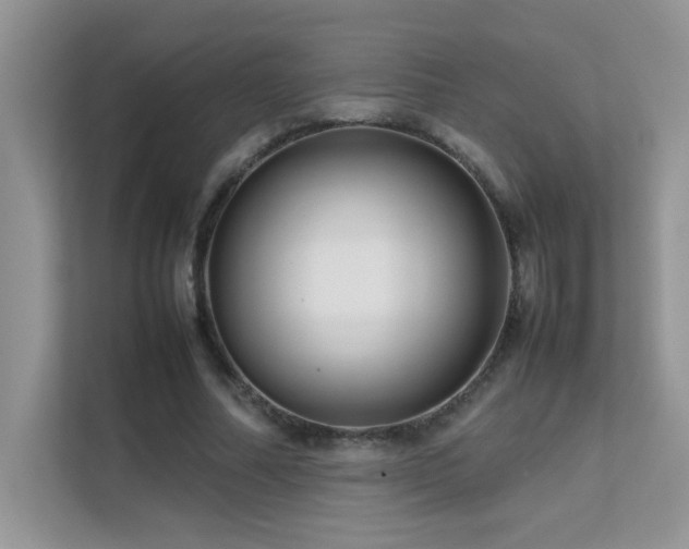 X0000112210682200908071454