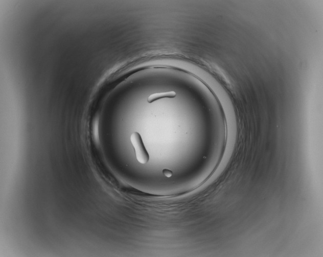 X0000112210684200908071454