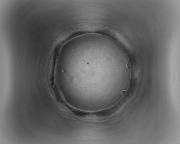 X0000112210685200908071454