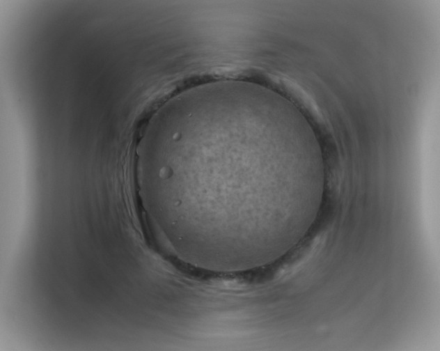 X0000112210689200908071454