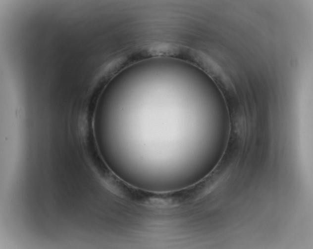 X0000112210690200908071454