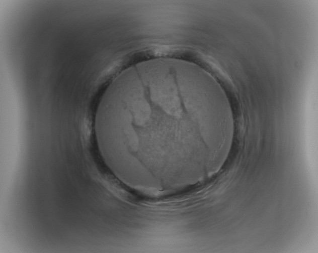 X0000112210691200908071454