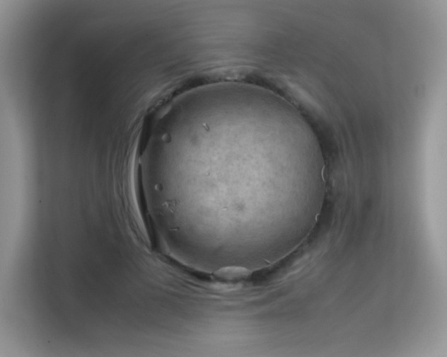 X0000112210693200908071454