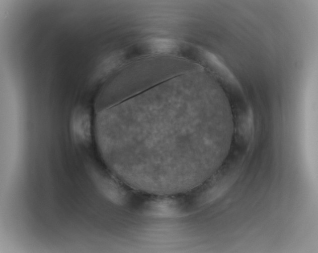 X0000112210696200908071454
