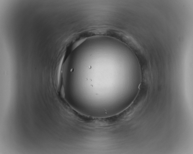 X0000112210697200908071454
