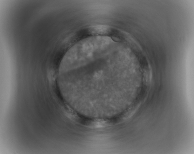 X0000112210701200908071454