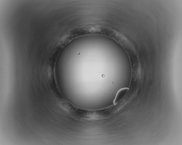 X0000112210704200908071454