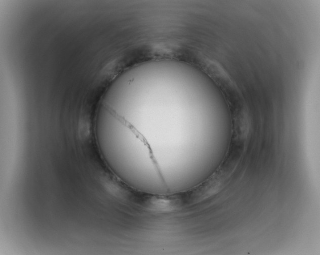 X0000112210706200908071454