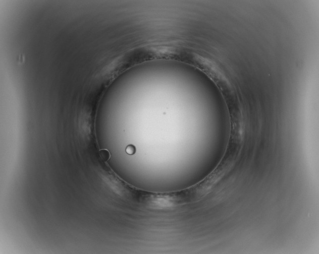 X0000112210710200908071454