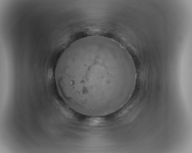 X0000112210711200908071454